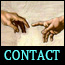 contact the dude